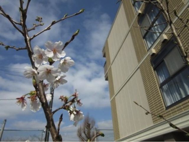 桜と施設の外観 外観 桜の花が映える場所に位置する、明るく和やかな雰囲気の施設です。四季の変わり目も楽しめる環境で、新たな勤務地としていかがでしょうか。