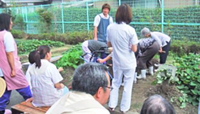 野菜を収穫する庭