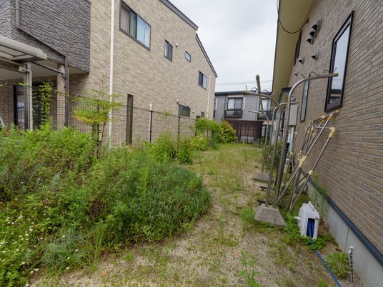 緑豊かな施設の中庭