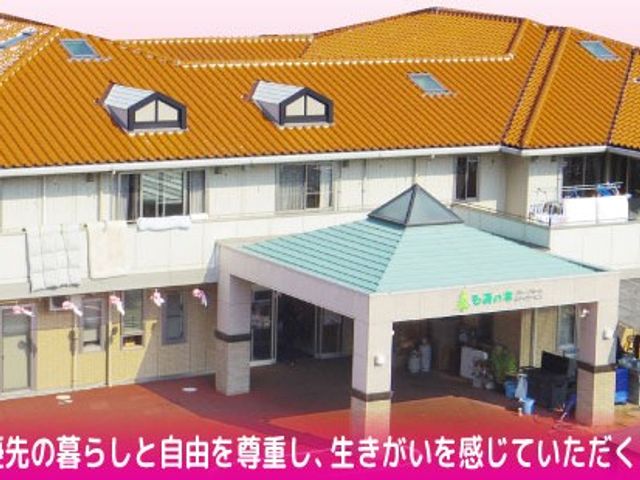施設の外観 外観   明るい屋根が印象的な建物で、入口まわりはゆったりとしたつくりです。外からも館内の落ち着いた雰囲気が伝わります。