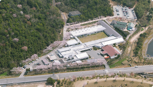 桜に囲まれた建物