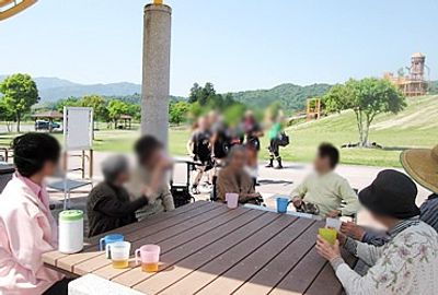 自然がいっぱいの庭