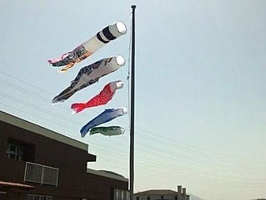屋外のこいのぼり  