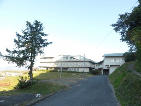 緑に囲まれた建物外観  