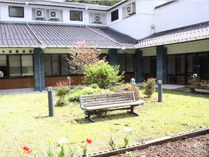 緑豊かな中庭の風景