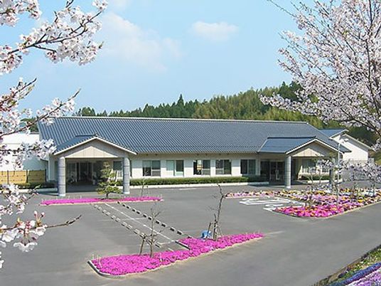 桜に囲まれた平屋の外観  