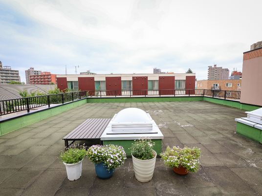 屋上の植物とベンチ
