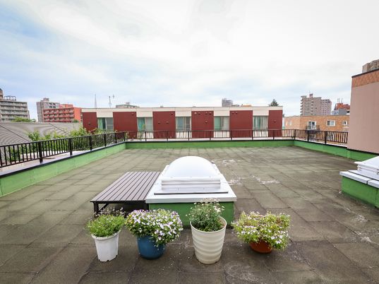 屋上の植物とベンチ