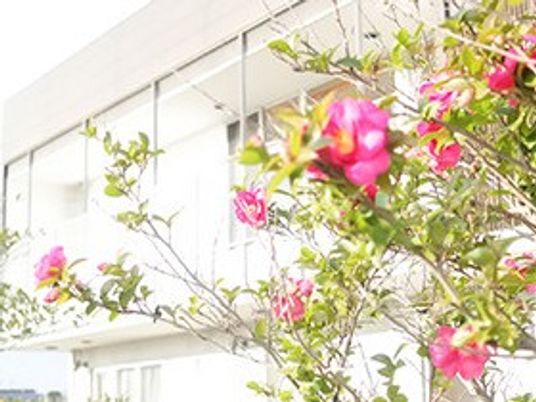 色鮮やかな花と建物