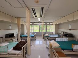自然光を活かした居室