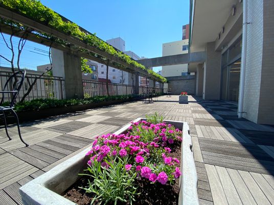 中庭の緑と花壇