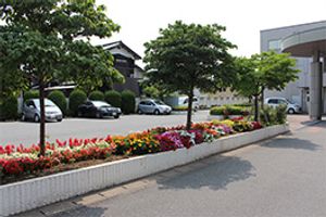 花壇が並ぶ庭