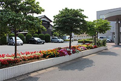 花壇が並ぶ庭