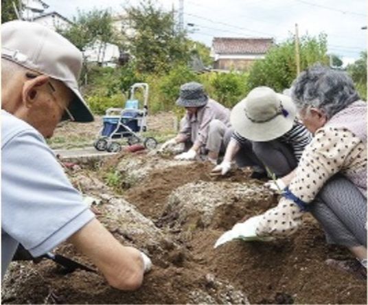 高齢者の園芸活動