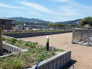 山に囲まれた中庭
