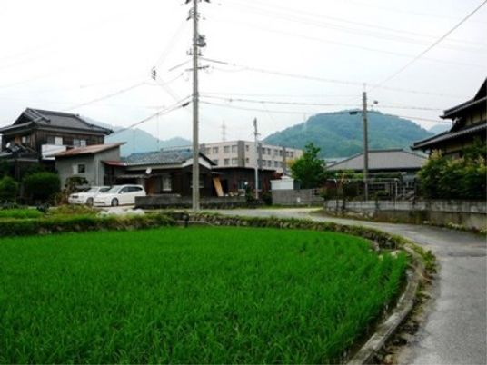 緑豊かな中庭風景