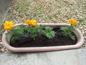 花壇  
