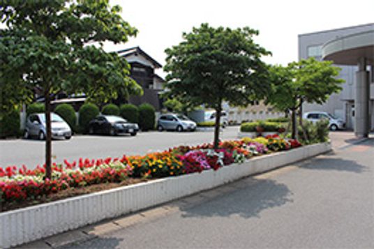緑豊かな駐車場