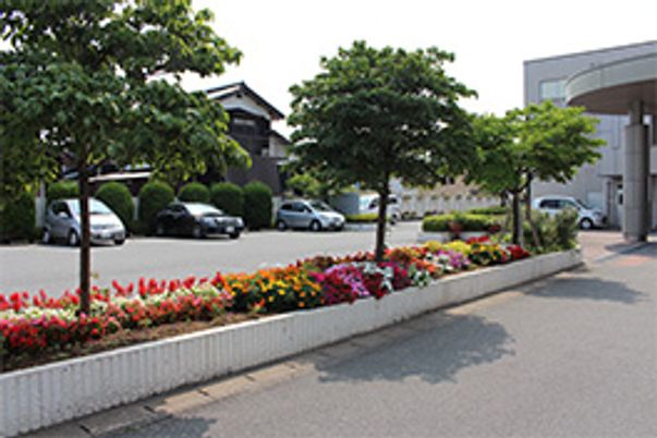 緑豊かな駐車場