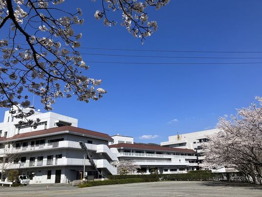 桜に囲まれた外観  