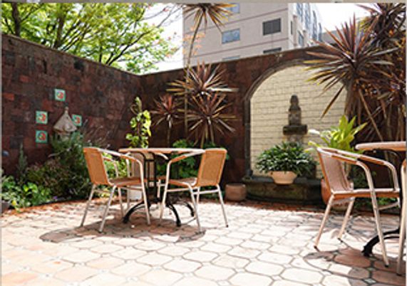 植物が美しい庭