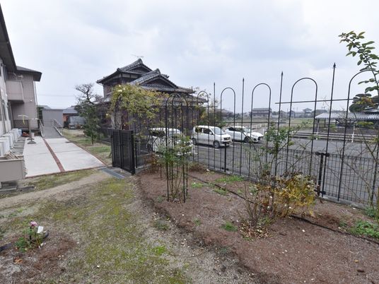 中庭の風景