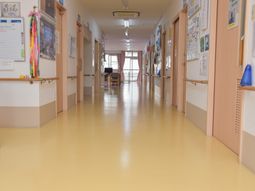 明るい廊下と掲示物