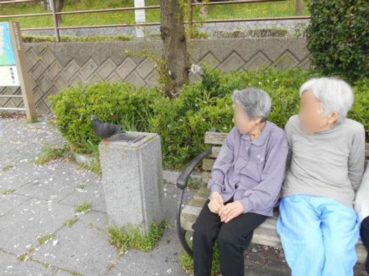 ベンチに座る二人の憩い