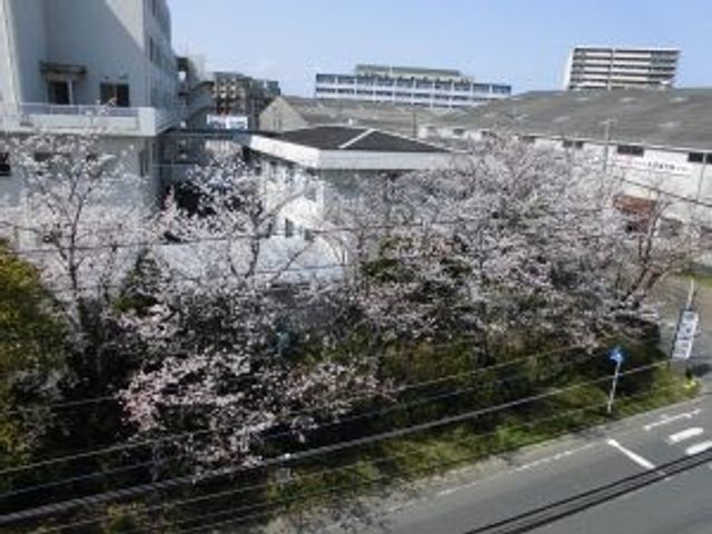 桜咲く施設外観  
