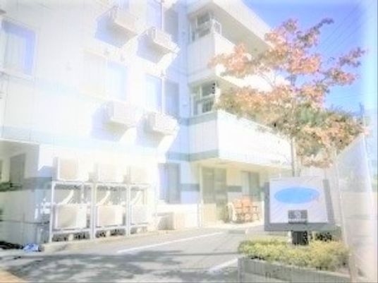 晴れた日の建物外観