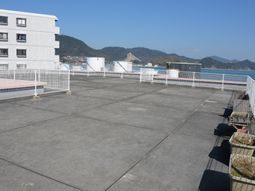 広々とした屋上スペース