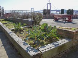 中庭の植物とベンチ