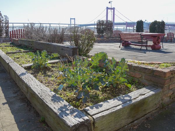中庭の植物とベンチ