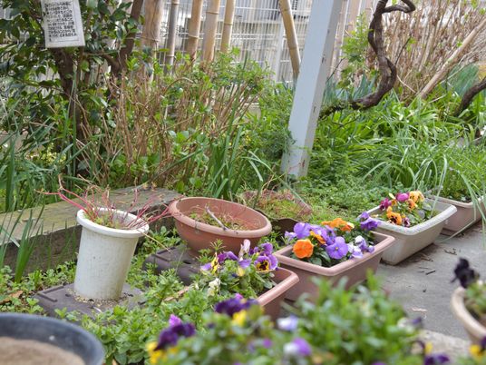 植物に囲まれた中庭