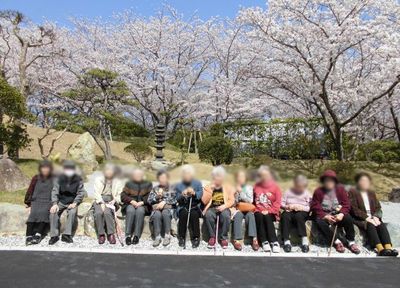桜の木の下の集合
