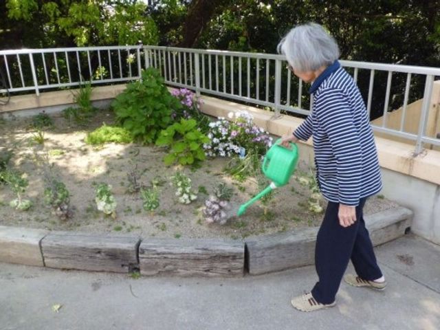 お花に水をやる高齢者 花壇 手入れが行き届いた中庭で、緑に囲まれながらガーデニングを楽しむ様子がうかがえます。利用者の日々の暮らしに、豊かな癒しを提供しています。
