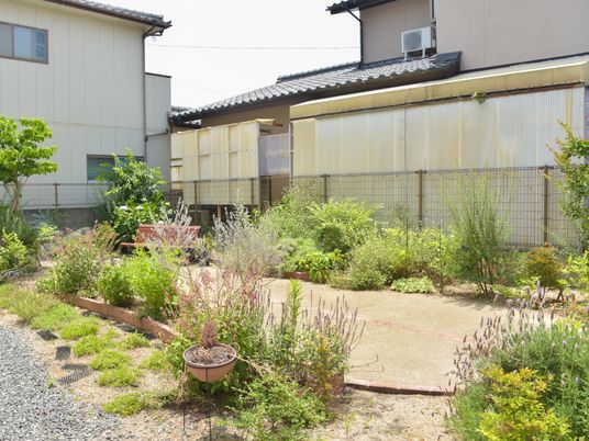 緑豊かな施設の庭
