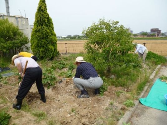 庭で作業する人々