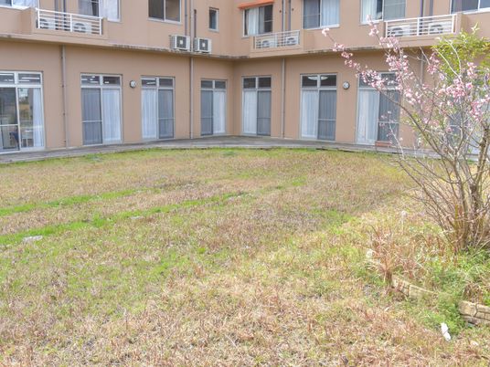 中庭と建物の外観