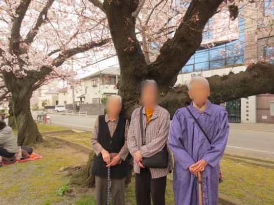 桜の木と３人のお年寄り