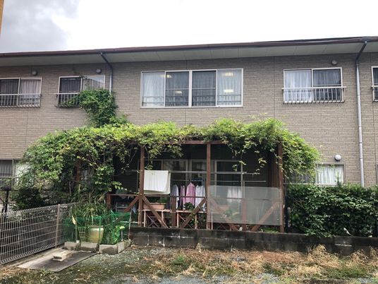 緑のある建物外観  