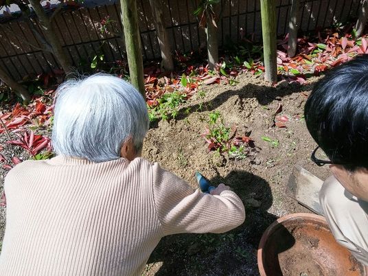 庭で植物の手入れ