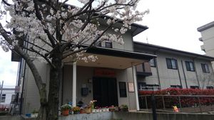 桜と施設の外観