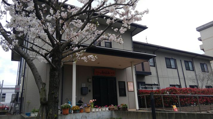 桜と施設の外観
