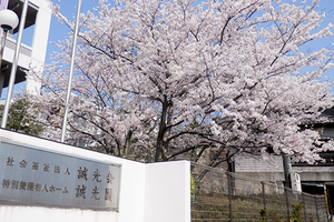 桜と看板の外観