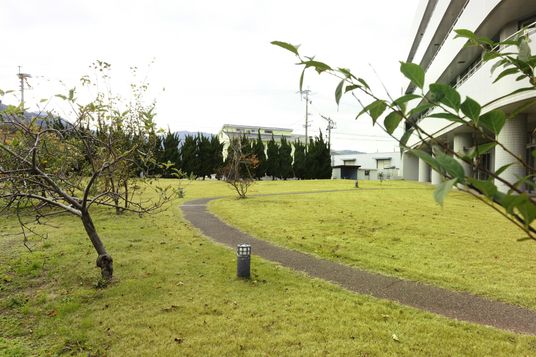 緑豊かな庭園