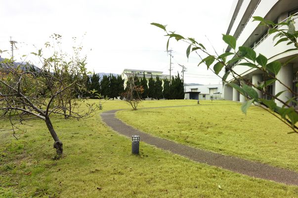 緑豊かな庭園