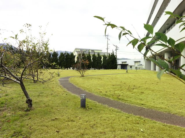 緑豊かな庭園 庭 緑が広がる庭では、散歩やリラックスを楽しむことができます。静かな環境が魅力です。