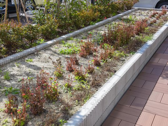 美しい中庭の植栽