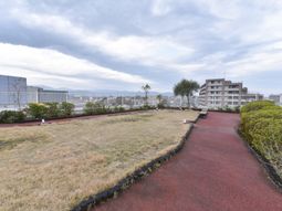 広々とした屋上庭園